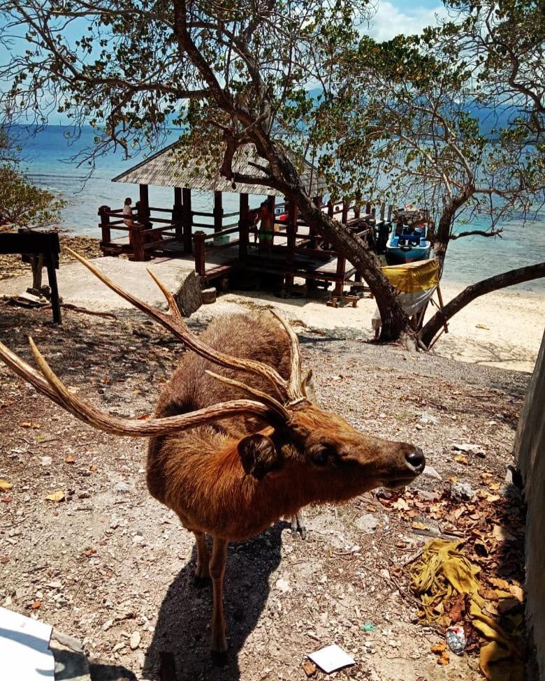 Badini Homestay Pemuteran  Luaran gambar